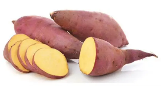 Sweet Potato
