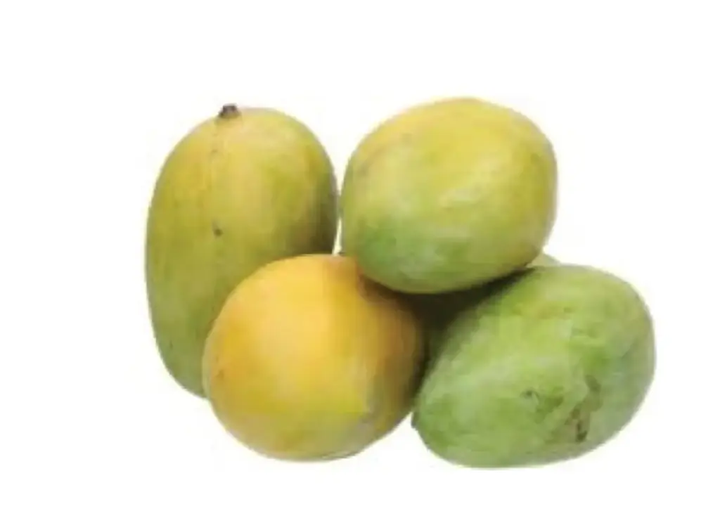 Mango Oweis