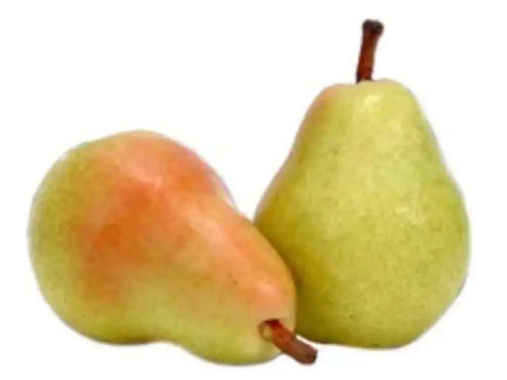 كمثرى