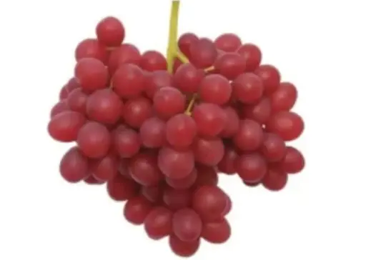 عنب أحمر