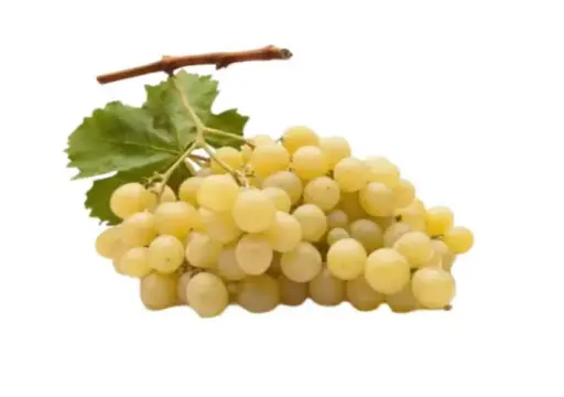 Banaty Grapes